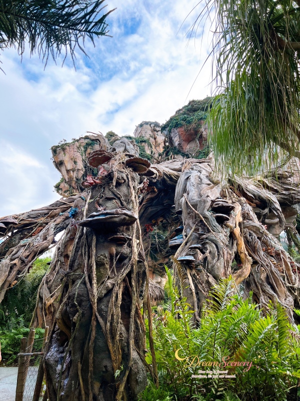 【美國 Florida】2024 Disney’s Animal Kingdom 攻略|一日路線+必玩設施 - 第7張圖 【美國 Florida】2024 Disney’s Animal Kingdom 攻略|一日路線+必玩設施