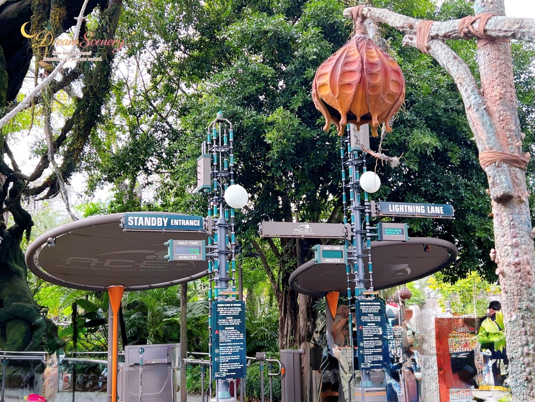 【美國 Florida】2024 Disney’s Animal Kingdom 攻略|一日路線+必玩設施 - 第12張圖 【美國 Florida】2024 Disney’s Animal Kingdom 攻略|一日路線+必玩設施