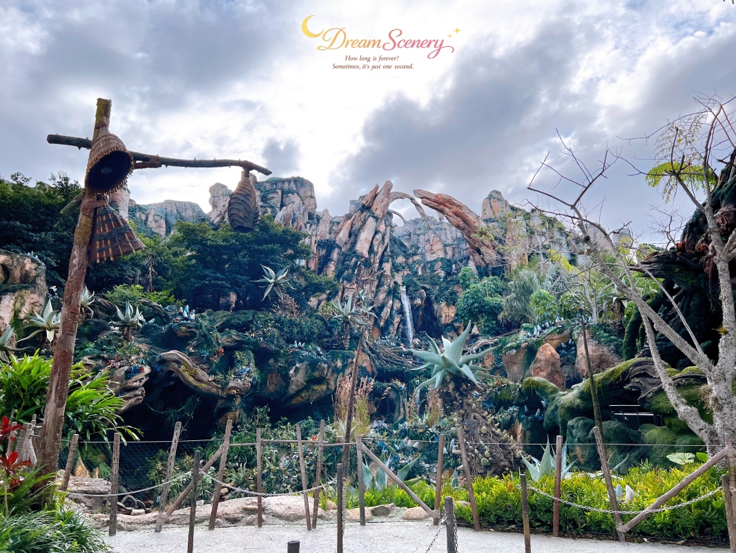 【美國 Florida】2024 Disney’s Animal Kingdom 攻略|一日路線+必玩設施 - 第6張圖 【美國 Florida】2024 Disney’s Animal Kingdom 攻略|一日路線+必玩設施