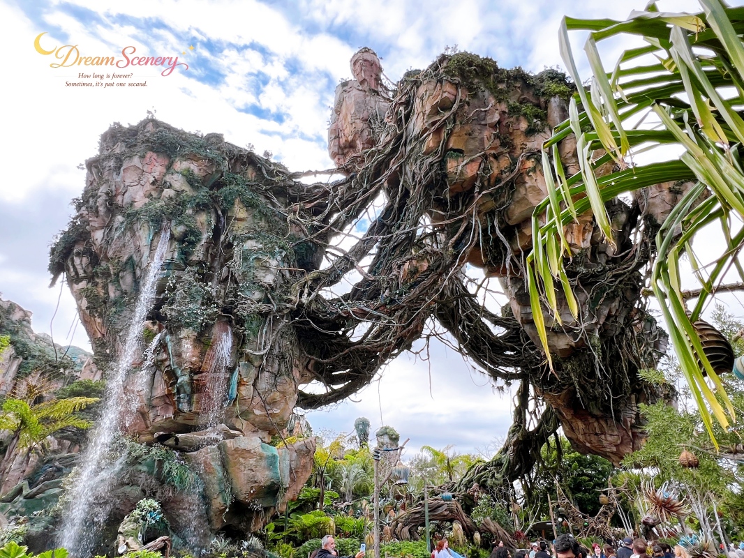 【美國 Florida】2024 Disney’s Animal Kingdom 攻略|一日路線+必玩設施 - 第5張圖 【美國 Florida】2024 Disney’s Animal Kingdom 攻略|一日路線+必玩設施