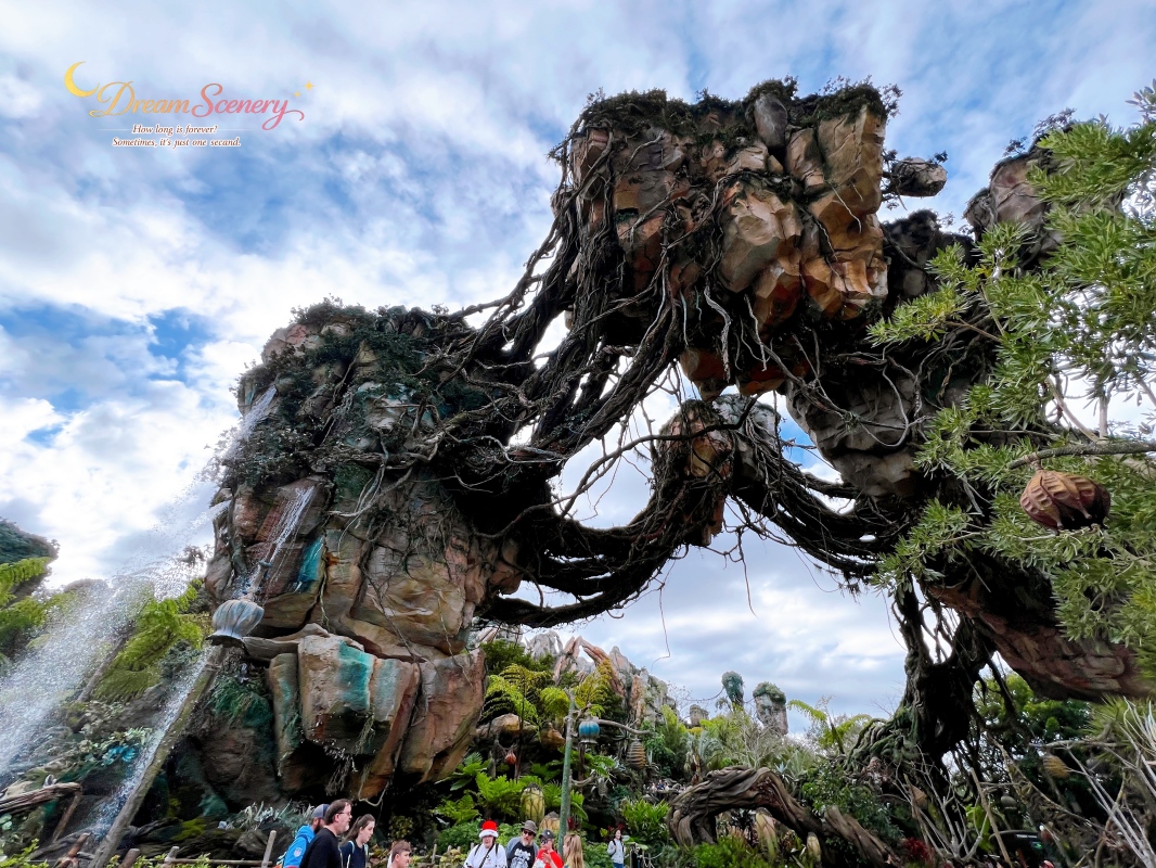 【美國 Florida】2024 Disney’s Animal Kingdom 攻略|一日路線+必玩設施 - 第4張圖 【美國 Florida】2024 Disney’s Animal Kingdom 攻略|一日路線+必玩設施