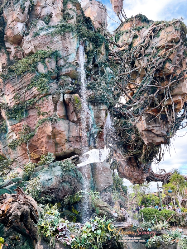 【美國 Florida】2024 Disney’s Animal Kingdom 攻略|一日路線+必玩設施 - 第3張圖 【美國 Florida】2024 Disney’s Animal Kingdom 攻略|一日路線+必玩設施