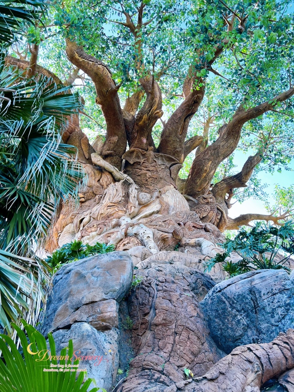 【美國 Florida】2024 Disney’s Animal Kingdom 攻略|一日路線+必玩設施 - 第80張圖 【美國 Florida】2024 Disney’s Animal Kingdom 攻略|一日路線+必玩設施