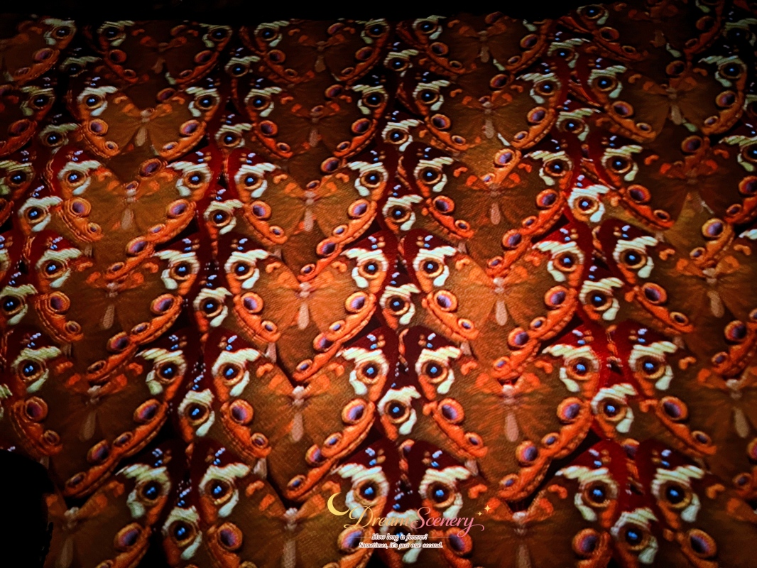 【美國 Florida】2024 Disney’s Animal Kingdom 攻略|一日路線+必玩設施 - 第86張圖 【美國 Florida】2024 Disney’s Animal Kingdom 攻略|一日路線+必玩設施