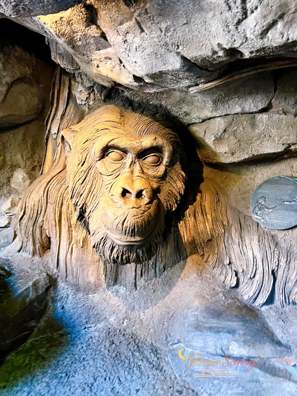 【美國 Florida】2024 Disney’s Animal Kingdom 攻略|一日路線+必玩設施 - 第83張圖 【美國 Florida】2024 Disney’s Animal Kingdom 攻略|一日路線+必玩設施