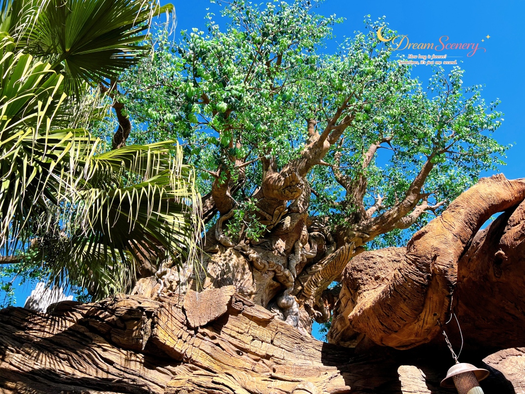 【美國 Florida】2024 Disney’s Animal Kingdom 攻略|一日路線+必玩設施 - 第81張圖 【美國 Florida】2024 Disney’s Animal Kingdom 攻略|一日路線+必玩設施