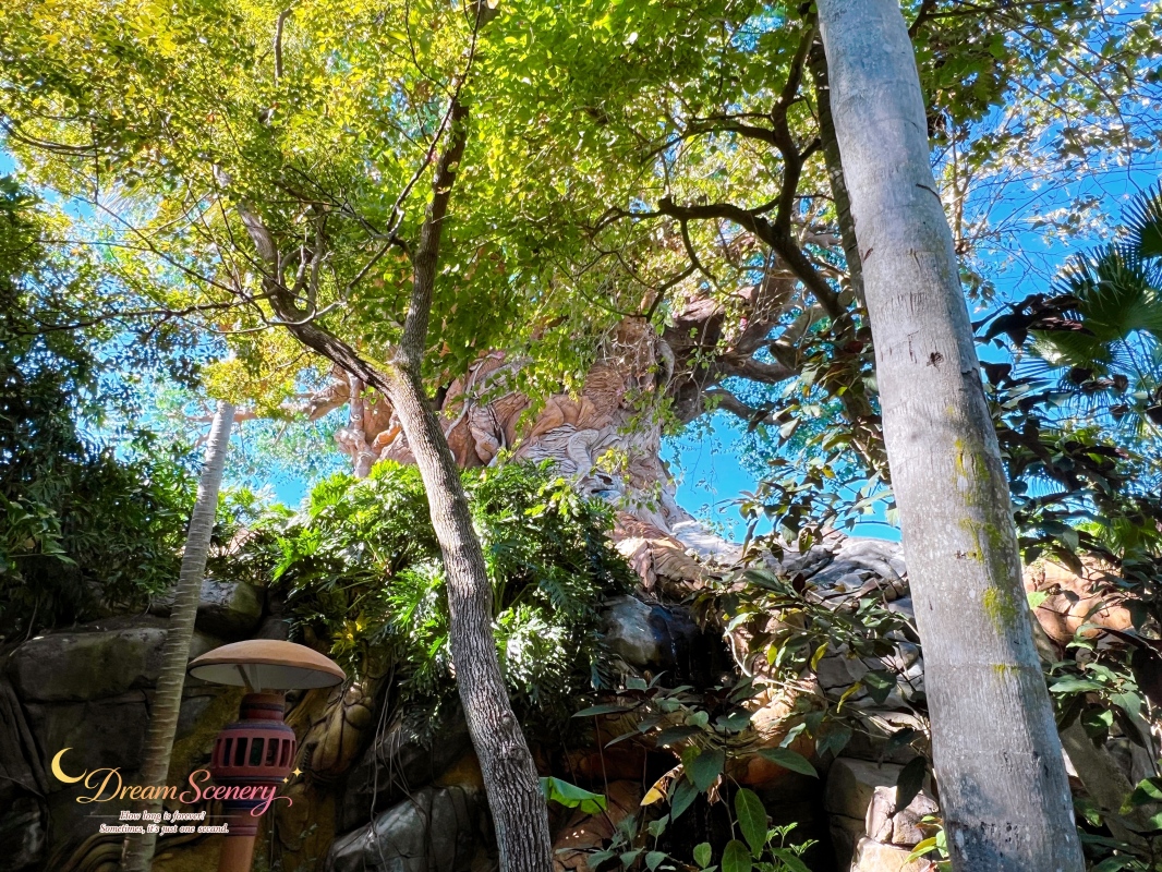 【美國 Florida】2024 Disney’s Animal Kingdom 攻略|一日路線+必玩設施 - 第79張圖 【美國 Florida】2024 Disney’s Animal Kingdom 攻略|一日路線+必玩設施