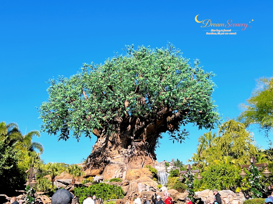 【美國 Florida】2024 Disney’s Animal Kingdom 攻略|一日路線+必玩設施 - 第2張圖 【美國 Florida】2024 Disney’s Animal Kingdom 攻略|一日路線+必玩設施