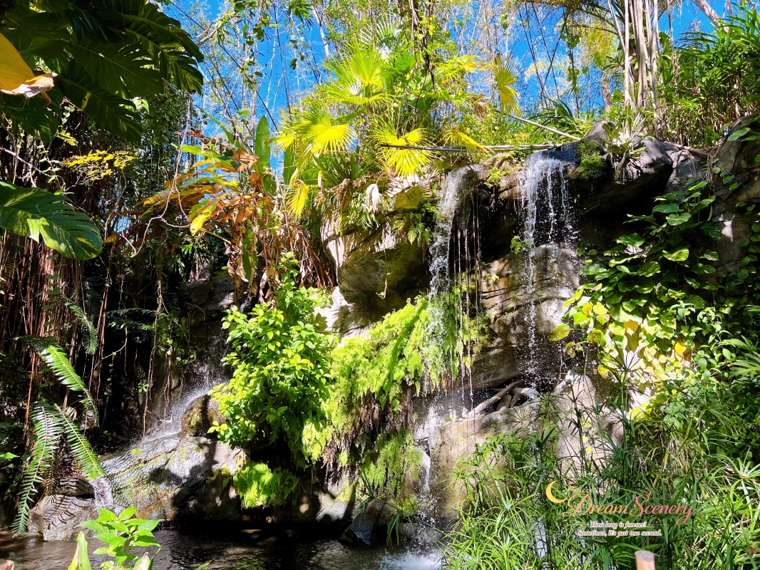 【美國 Florida】2024 Disney’s Animal Kingdom 攻略|一日路線+必玩設施 - 第88張圖 【美國 Florida】2024 Disney’s Animal Kingdom 攻略|一日路線+必玩設施