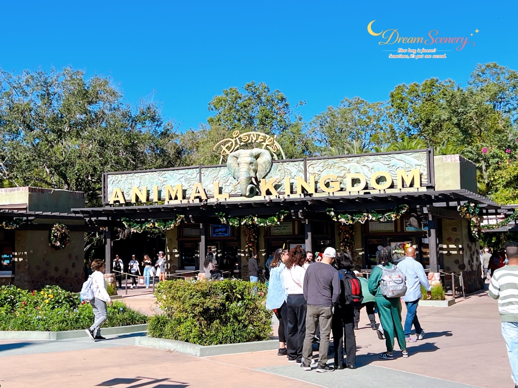 【美國 Florida】2024 Disney’s Animal Kingdom 攻略|一日路線+必玩設施 - 第1張圖 【美國 Florida】2024 Disney’s Animal Kingdom 攻略|一日路線+必玩設施