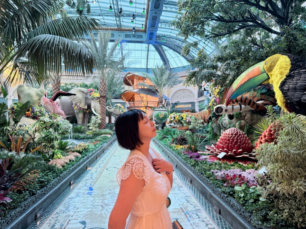 【美國-Las Vegas】Bellagio 花園 Summer 2026「Paradise」:走進沙漠中的熱帶天堂 - 第1張圖 【美國-Las Vegas】Bellagio 花園 Summer 2026「Paradise」:走進沙漠中的熱帶天堂