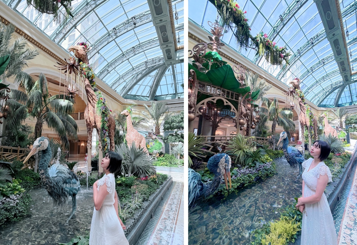 【美國-Las Vegas】Bellagio 花園 Summer 2026「Paradise」:走進沙漠中的熱帶天堂 - 第20張圖 【美國-Las Vegas】Bellagio 花園 Summer 2026「Paradise」:走進沙漠中的熱帶天堂
