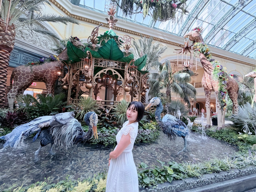 【美國-Las Vegas】Bellagio 花園 Summer 2026「Paradise」:走進沙漠中的熱帶天堂 - 第21張圖 【美國-Las Vegas】Bellagio 花園 Summer 2026「Paradise」:走進沙漠中的熱帶天堂