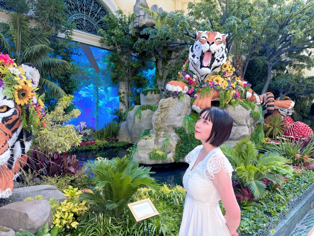 【美國-Las Vegas】Bellagio 花園 Summer 2026「Paradise」:走進沙漠中的熱帶天堂 - 第22張圖 【美國-Las Vegas】Bellagio 花園 Summer 2026「Paradise」:走進沙漠中的熱帶天堂