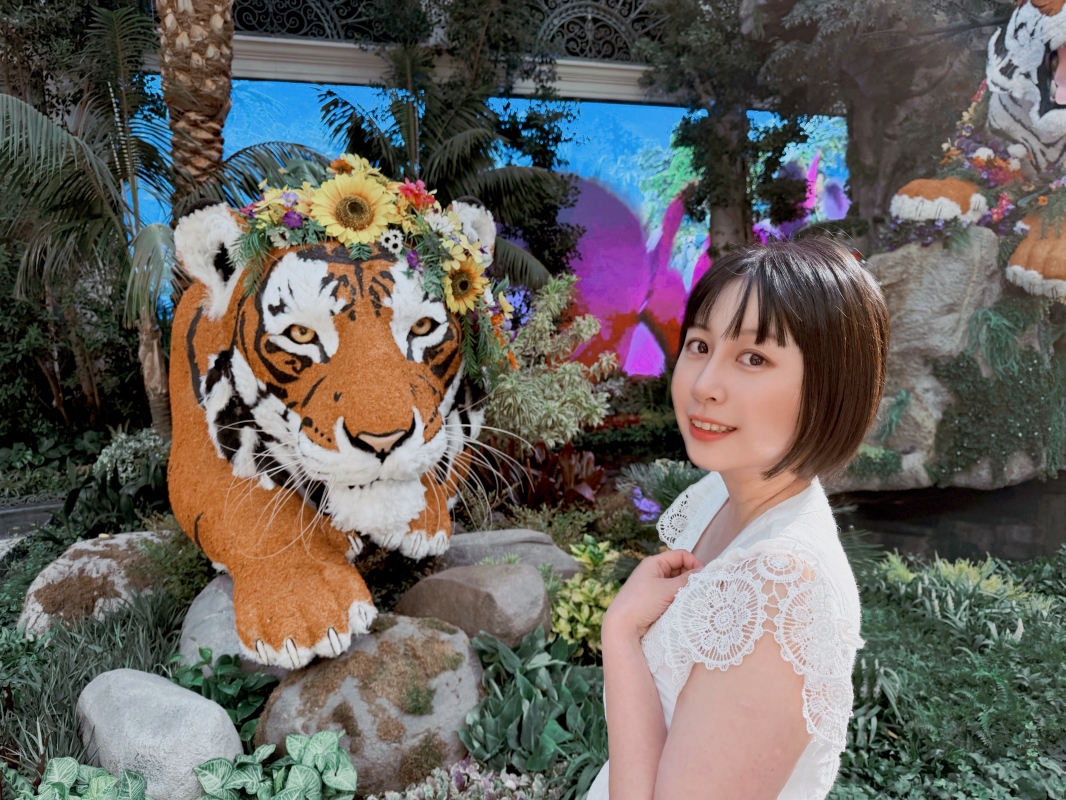 【美國-Las Vegas】Bellagio 花園 Summer 2026「Paradise」:走進沙漠中的熱帶天堂 - 第23張圖 【美國-Las Vegas】Bellagio 花園 Summer 2026「Paradise」:走進沙漠中的熱帶天堂
