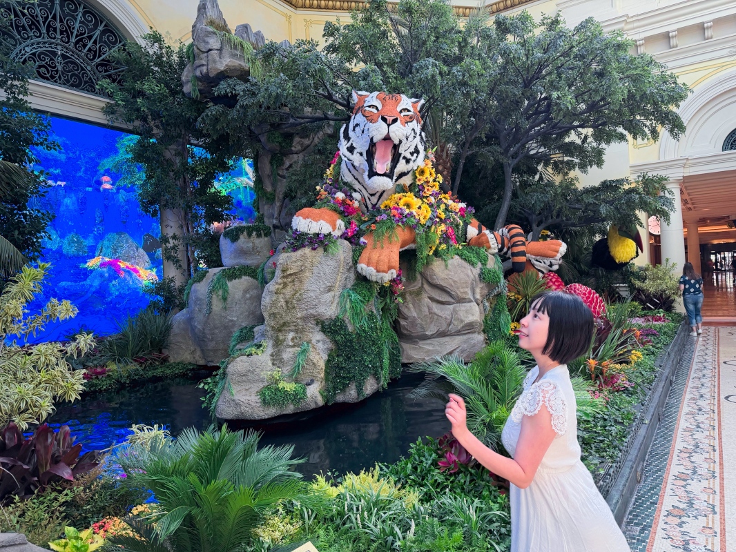 【美國-Las Vegas】Bellagio 花園 Summer 2026「Paradise」:走進沙漠中的熱帶天堂 - 第24張圖 【美國-Las Vegas】Bellagio 花園 Summer 2026「Paradise」:走進沙漠中的熱帶天堂