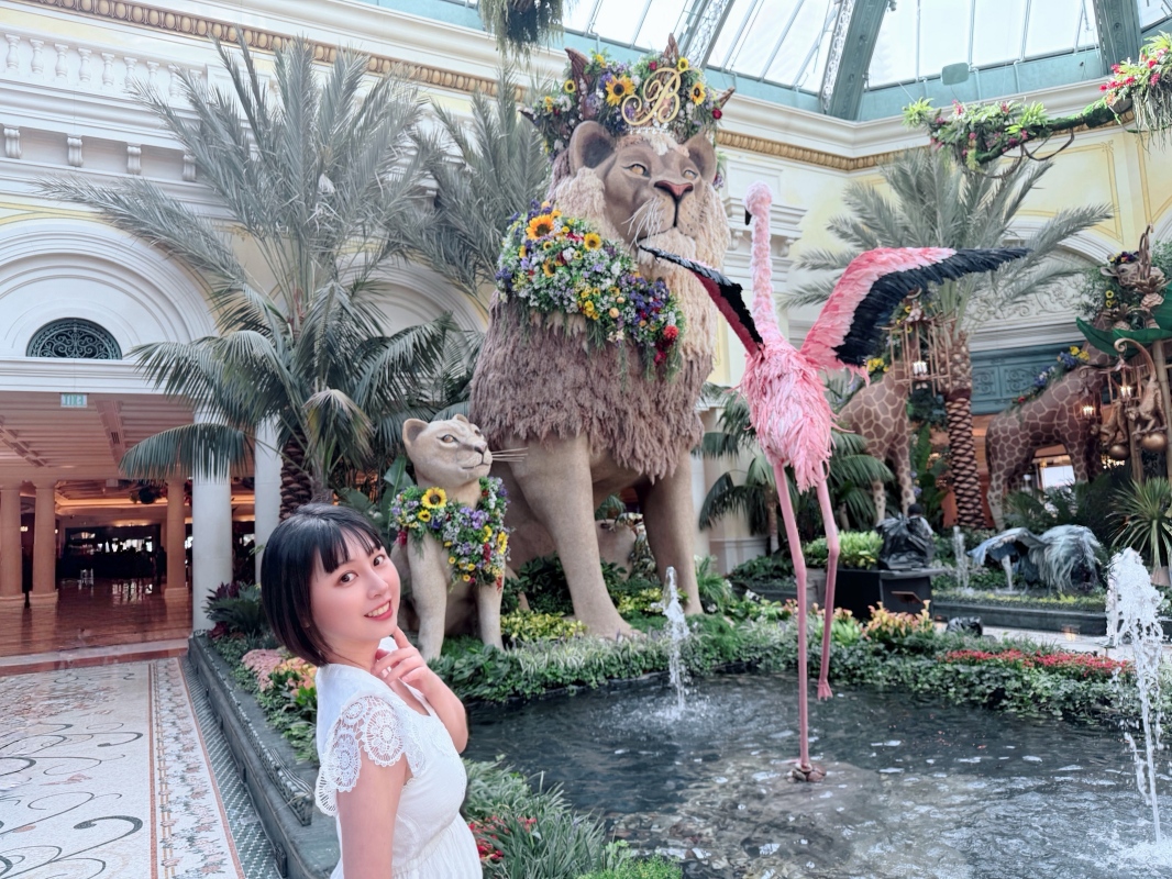 【美國-Las Vegas】Bellagio 花園 Summer 2026「Paradise」:走進沙漠中的熱帶天堂 - 第25張圖 【美國-Las Vegas】Bellagio 花園 Summer 2026「Paradise」:走進沙漠中的熱帶天堂