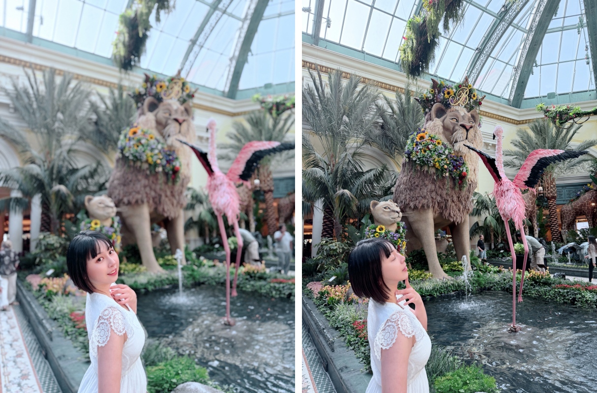 【美國-Las Vegas】Bellagio 花園 Summer 2026「Paradise」:走進沙漠中的熱帶天堂 - 第26張圖 【美國-Las Vegas】Bellagio 花園 Summer 2026「Paradise」:走進沙漠中的熱帶天堂