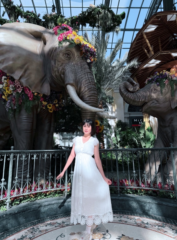 【美國-Las Vegas】Bellagio 花園 Summer 2026「Paradise」:走進沙漠中的熱帶天堂 - 第28張圖 【美國-Las Vegas】Bellagio 花園 Summer 2026「Paradise」:走進沙漠中的熱帶天堂