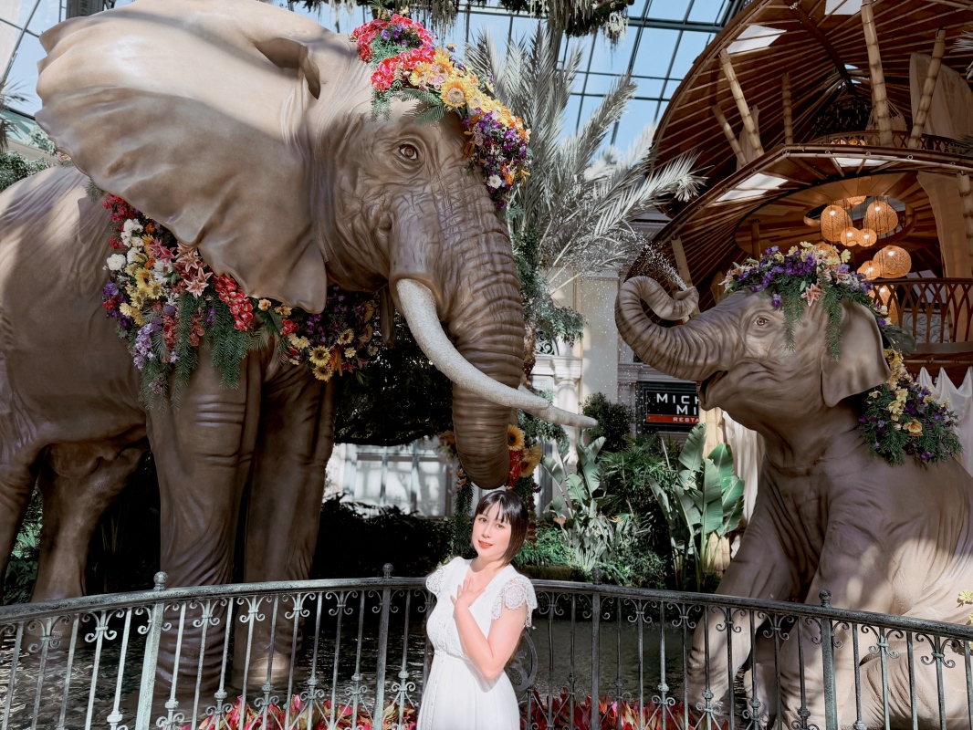 【美國-Las Vegas】Bellagio 花園 Summer 2026「Paradise」:走進沙漠中的熱帶天堂 - 第27張圖 【美國-Las Vegas】Bellagio 花園 Summer 2026「Paradise」:走進沙漠中的熱帶天堂