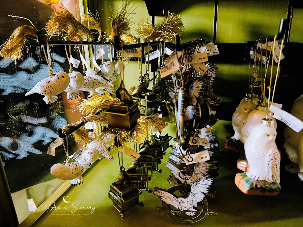 【美國 Florida】2024 奧蘭多環球影城哈利波特魔法世界｜從國王十字車站搭上霍格華茲特快車，走進斜角巷的魔法世界