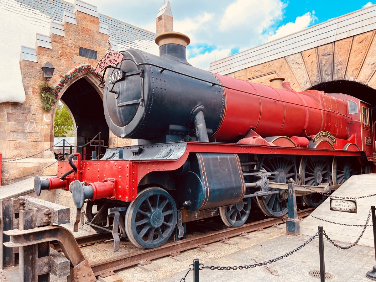 【美國 Florida】2024 奧蘭多環球影城開箱|兩天玩遍 Universal Studios Florida+Islands of Adventure心得分享 - 第105張圖 【美國 Florida】2024 奧蘭多環球影城哈利波特魔法世界|走進活米村探索霍格華茲城堡與魔法學院