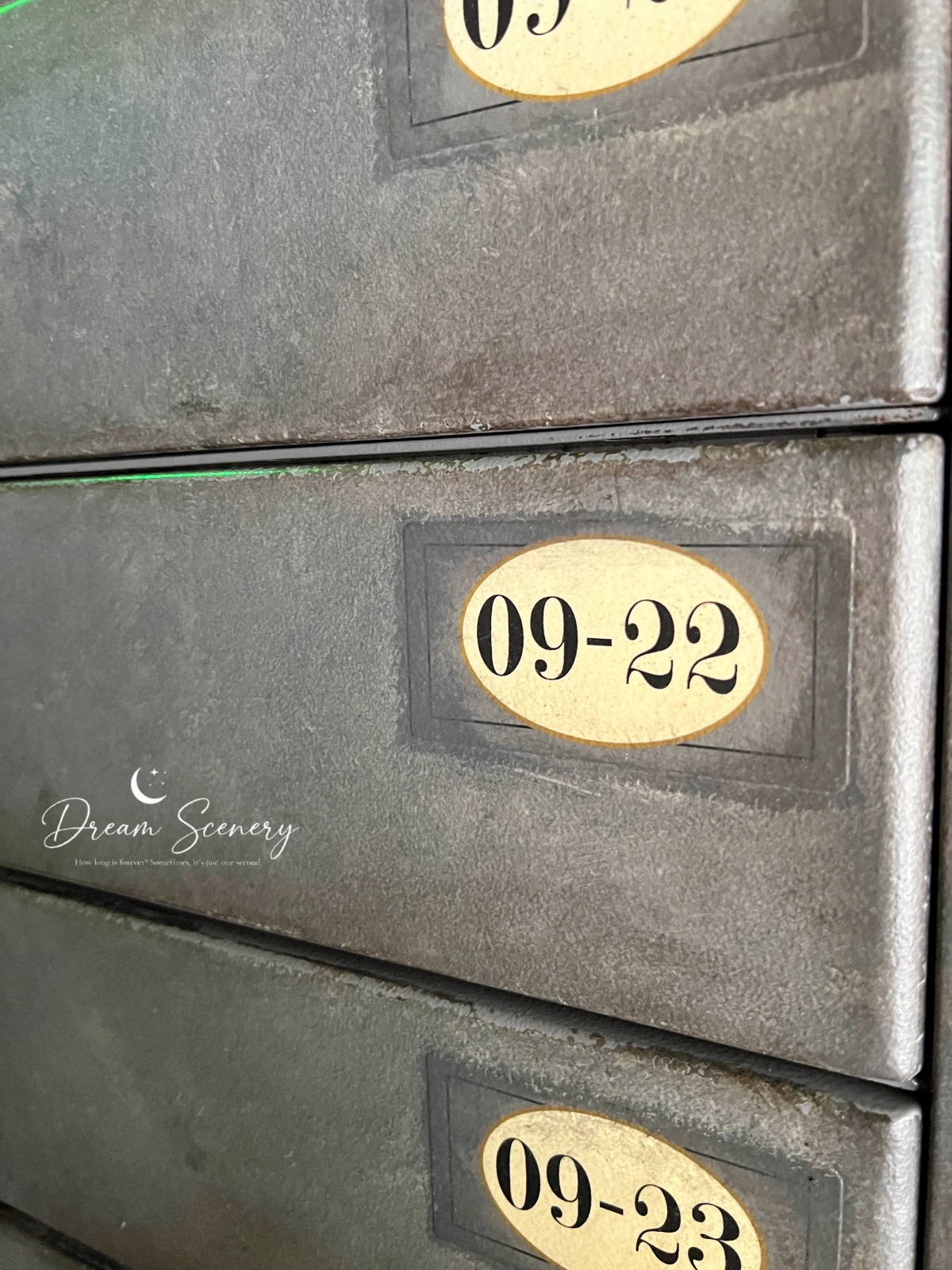 【美國 Florida】2024 奧蘭多環球影城開箱|兩天玩遍 Universal Studios Florida+Islands of Adventure心得分享 - 第99張圖 【美國 Florida】2024 奧蘭多環球影城開箱|兩天玩遍 Universal Studios Florida+Islands of Adventure心得分享