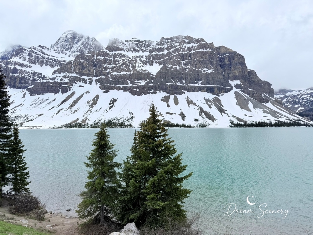 【加拿大-Banff】班夫國家公園自駕之旅|Bow Lake與Peyto Lake遇上大雪,帶寶寶第一次看雪 - 第3張圖 【加拿大-Banff】班夫國家公園自駕之旅|Bow Lake與Peyto Lake遇上大雪,帶寶寶第一次看雪