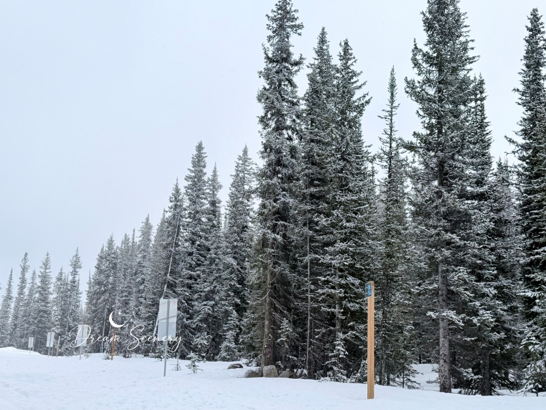 【加拿大-Banff】班夫國家公園自駕之旅|Bow Lake與Peyto Lake遇上大雪,帶寶寶第一次看雪 - 第7張圖 【加拿大-Banff】班夫國家公園自駕之旅|Bow Lake與Peyto Lake遇上大雪,帶寶寶第一次看雪