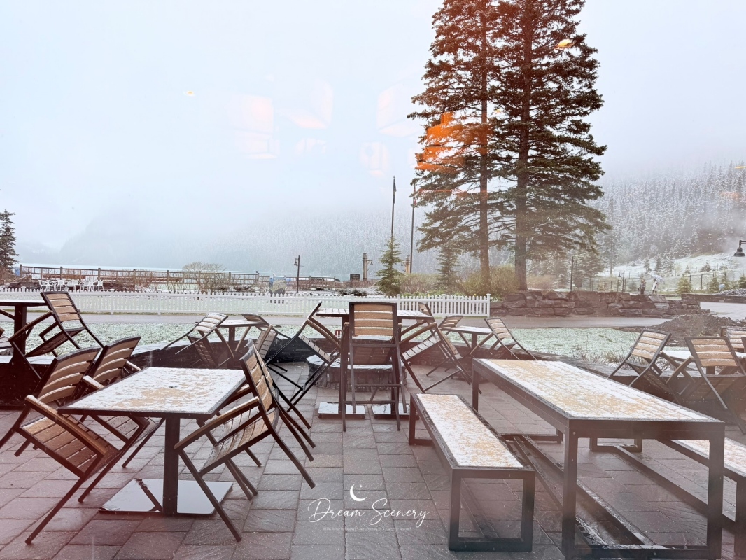 【加拿大-Banff】在雪山湖景中享用一頓悠閒早晨｜Fairmont Chateau Lake Louise｜ Louiza早餐