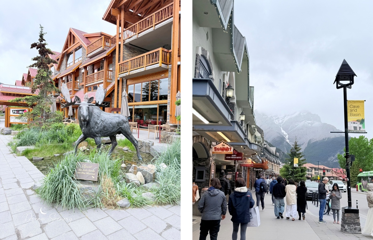 【加拿大-Banff】漫步班夫小鎮，欣賞洛磯山脈風光與特色街景｜BeavTails、COWS Ice Cream