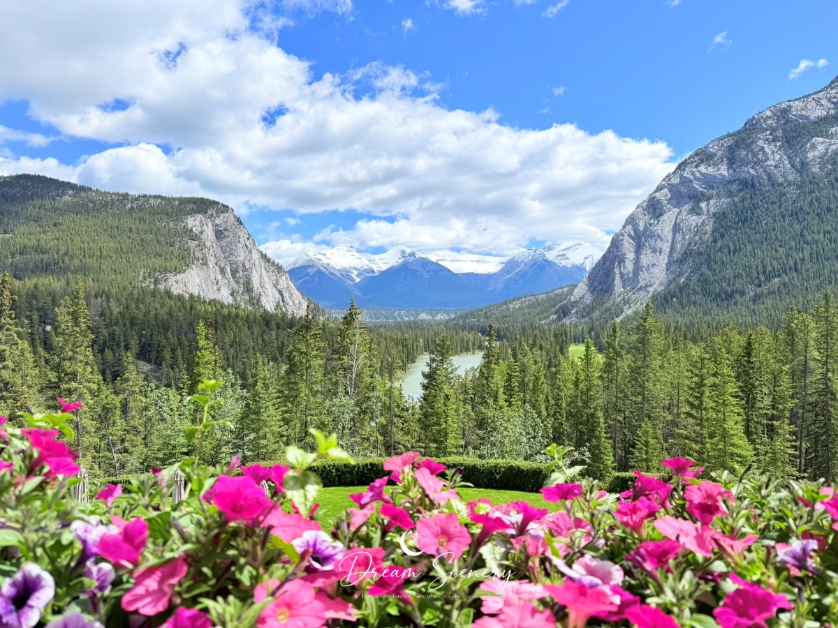【加拿大-Banff】走進落磯山脈中的城堡，探索古典大廳與山谷花園｜Fairmont Banff Springs