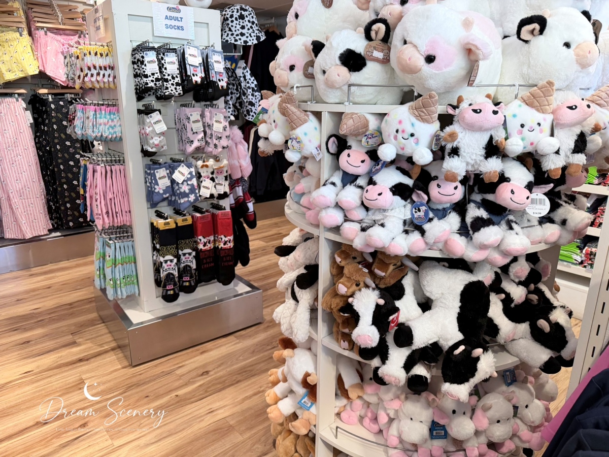 【加拿大-Banff】漫步班夫小鎮，欣賞洛磯山脈風光與特色街景｜BeavTails、COWS Ice Cream