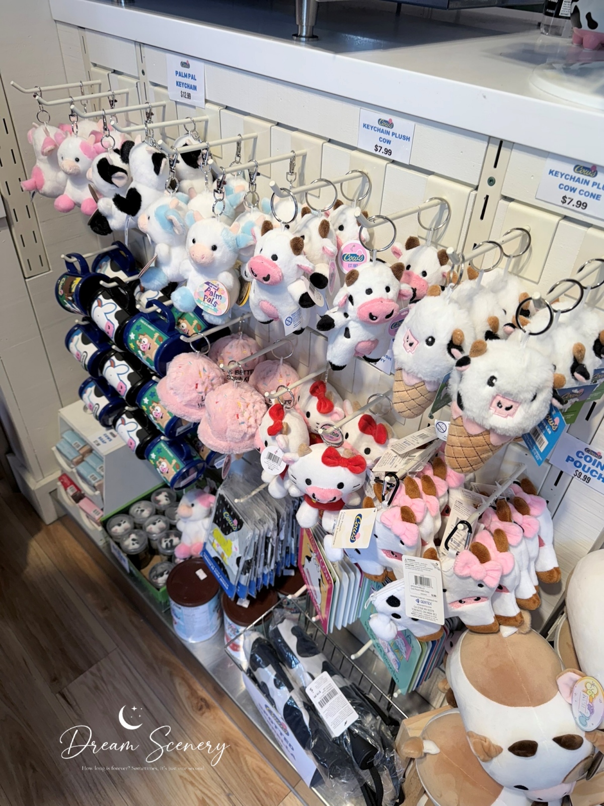 【加拿大-Banff】漫步班夫小鎮，欣賞洛磯山脈風光與特色街景｜BeavTails、COWS Ice Cream
