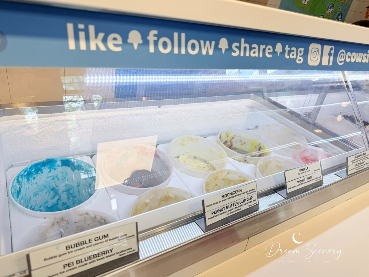 【加拿大-Banff】漫步班夫小鎮，欣賞洛磯山脈風光與特色街景｜BeavTails、COWS Ice Cream