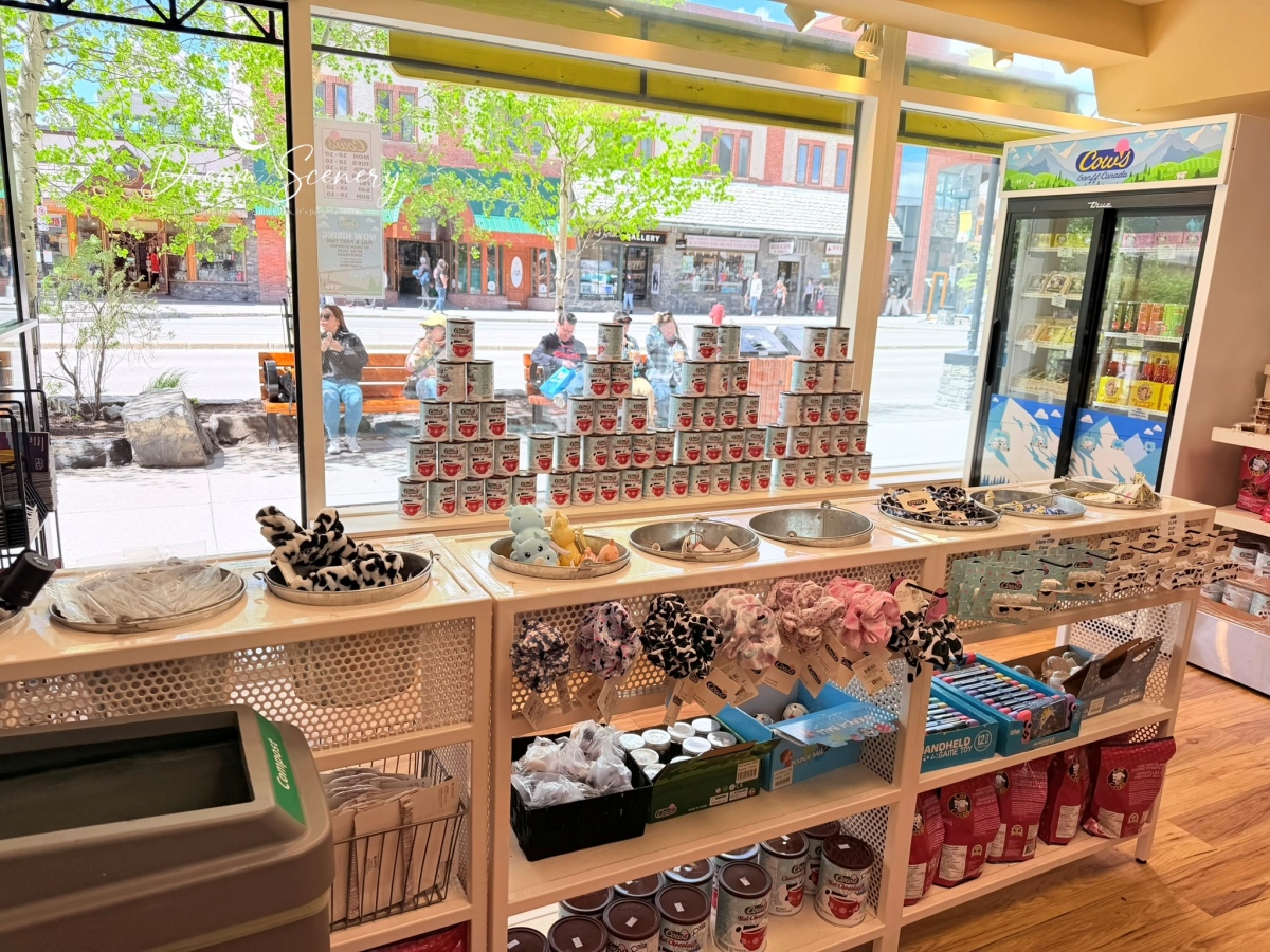 【加拿大-Banff】漫步班夫小鎮，欣賞洛磯山脈風光與特色街景｜BeavTails、COWS Ice Cream