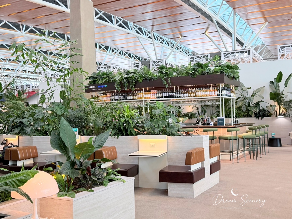 【加拿大-卡加利 Calgary】美國航班登機前的舒適休息空間｜Aspire Lounge Transborder