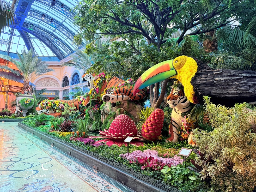 【美國-Las Vegas】Bellagio 花園 Summer 2026「Paradise」:走進沙漠中的熱帶天堂 - 第18張圖 【美國-Las Vegas】Bellagio 花園 Summer 2026「Paradise」:走進沙漠中的熱帶天堂