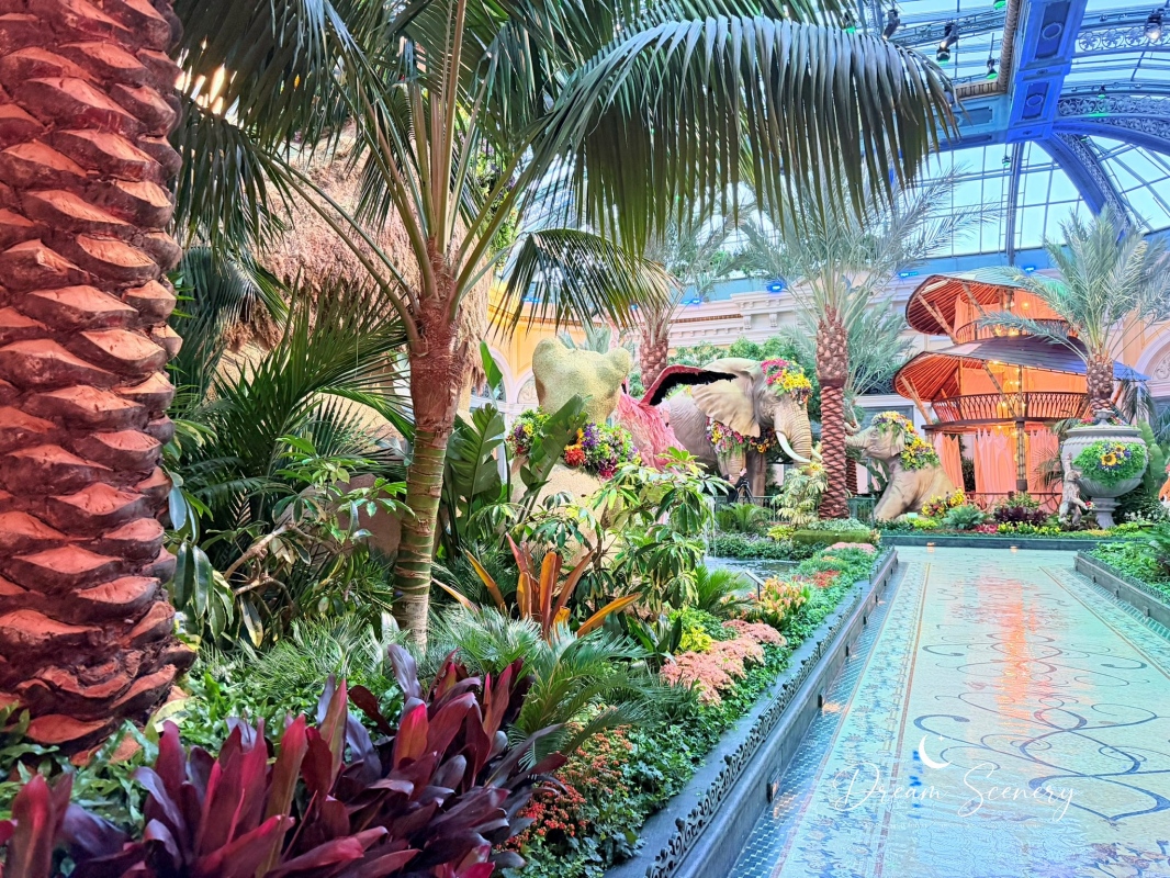 【美國-Las Vegas】Bellagio 花園 Summer 2026「Paradise」:走進沙漠中的熱帶天堂 - 第17張圖 【美國-Las Vegas】Bellagio 花園 Summer 2026「Paradise」:走進沙漠中的熱帶天堂