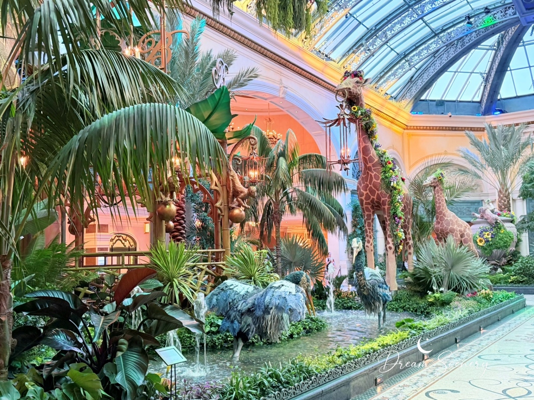 【美國-Las Vegas】Bellagio 花園 Summer 2026「Paradise」:走進沙漠中的熱帶天堂 - 第12張圖 【美國-Las Vegas】Bellagio 花園 Summer 2026「Paradise」:走進沙漠中的熱帶天堂
