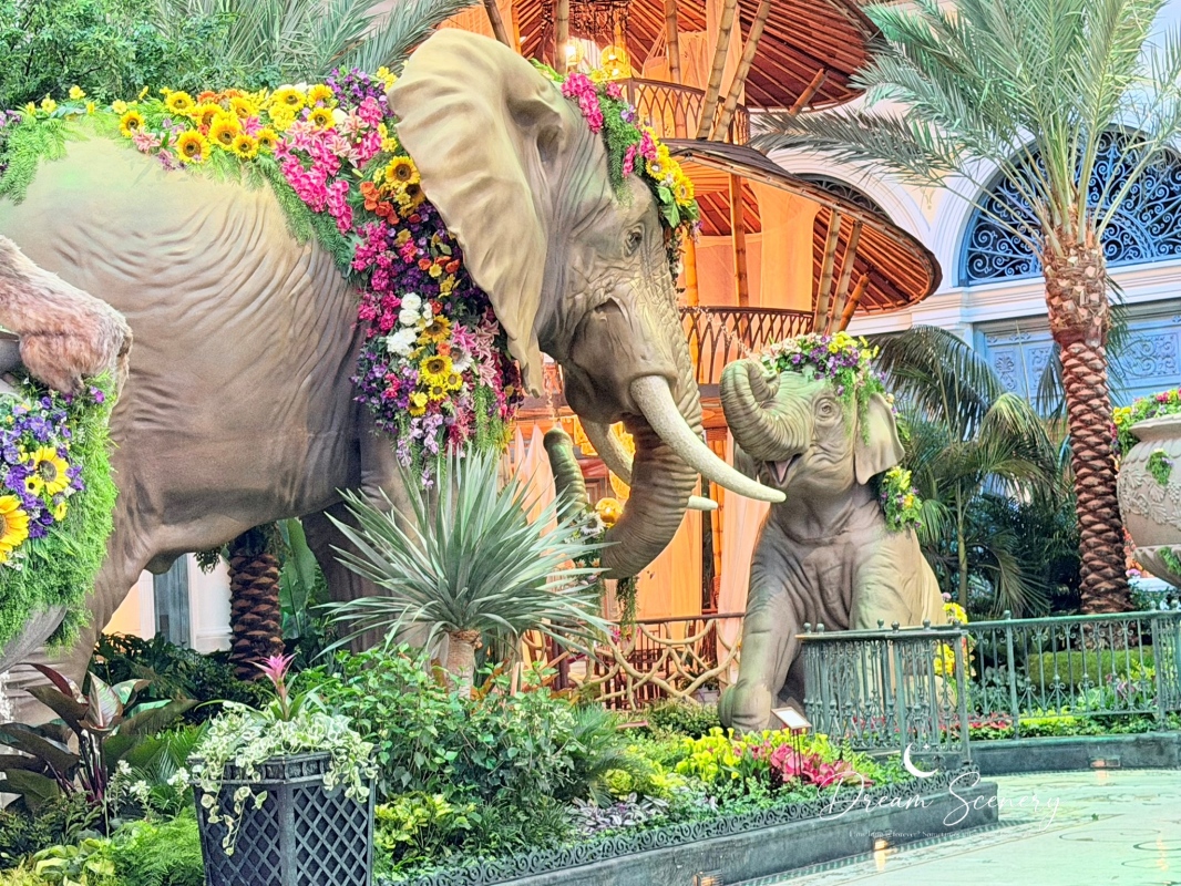【美國-Las Vegas】Bellagio 花園 Summer 2026「Paradise」:走進沙漠中的熱帶天堂 - 第3張圖 【美國-Las Vegas】Bellagio 花園 Summer 2026「Paradise」:走進沙漠中的熱帶天堂