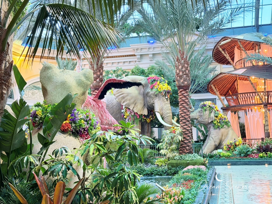 【美國-Las Vegas】Bellagio 花園 Summer 2026「Paradise」:走進沙漠中的熱帶天堂 - 第4張圖 【美國-Las Vegas】Bellagio 花園 Summer 2026「Paradise」:走進沙漠中的熱帶天堂