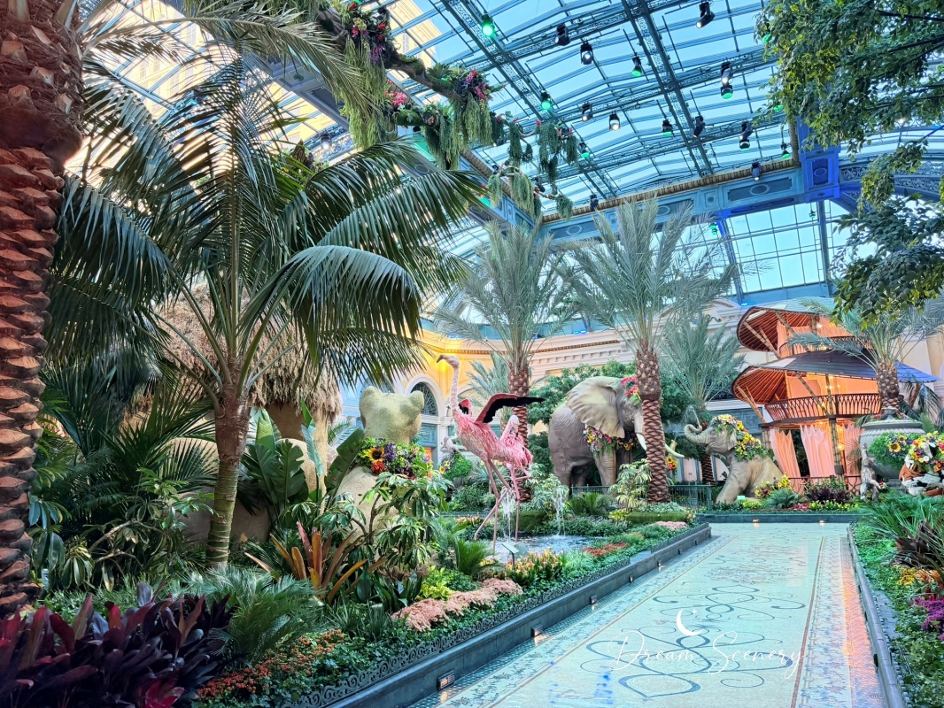 【美國-Las Vegas】Bellagio 花園 Summer 2026「Paradise」:走進沙漠中的熱帶天堂 - 第5張圖 【美國-Las Vegas】Bellagio 花園 Summer 2026「Paradise」:走進沙漠中的熱帶天堂