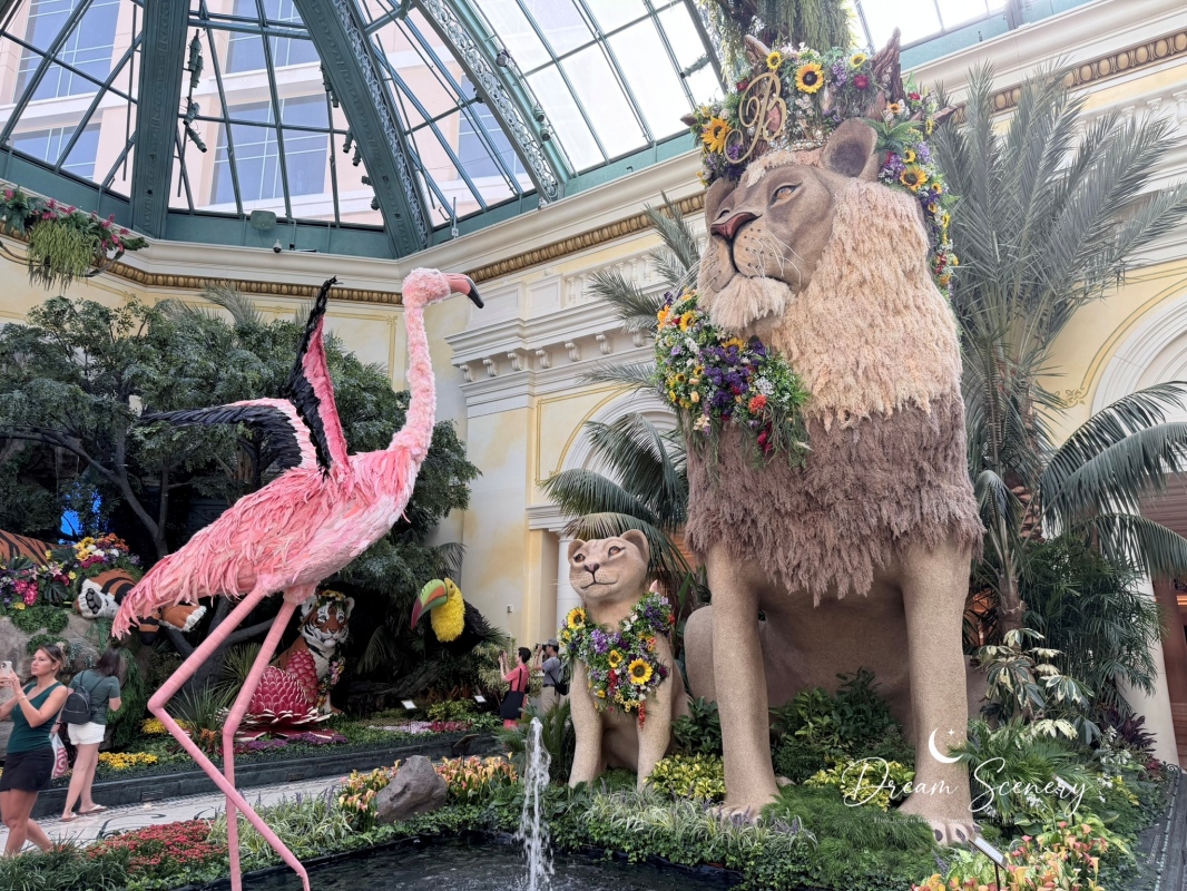 【美國-Las Vegas】Bellagio 花園 Summer 2026「Paradise」:走進沙漠中的熱帶天堂 - 第9張圖 【美國-Las Vegas】Bellagio 花園 Summer 2026「Paradise」:走進沙漠中的熱帶天堂