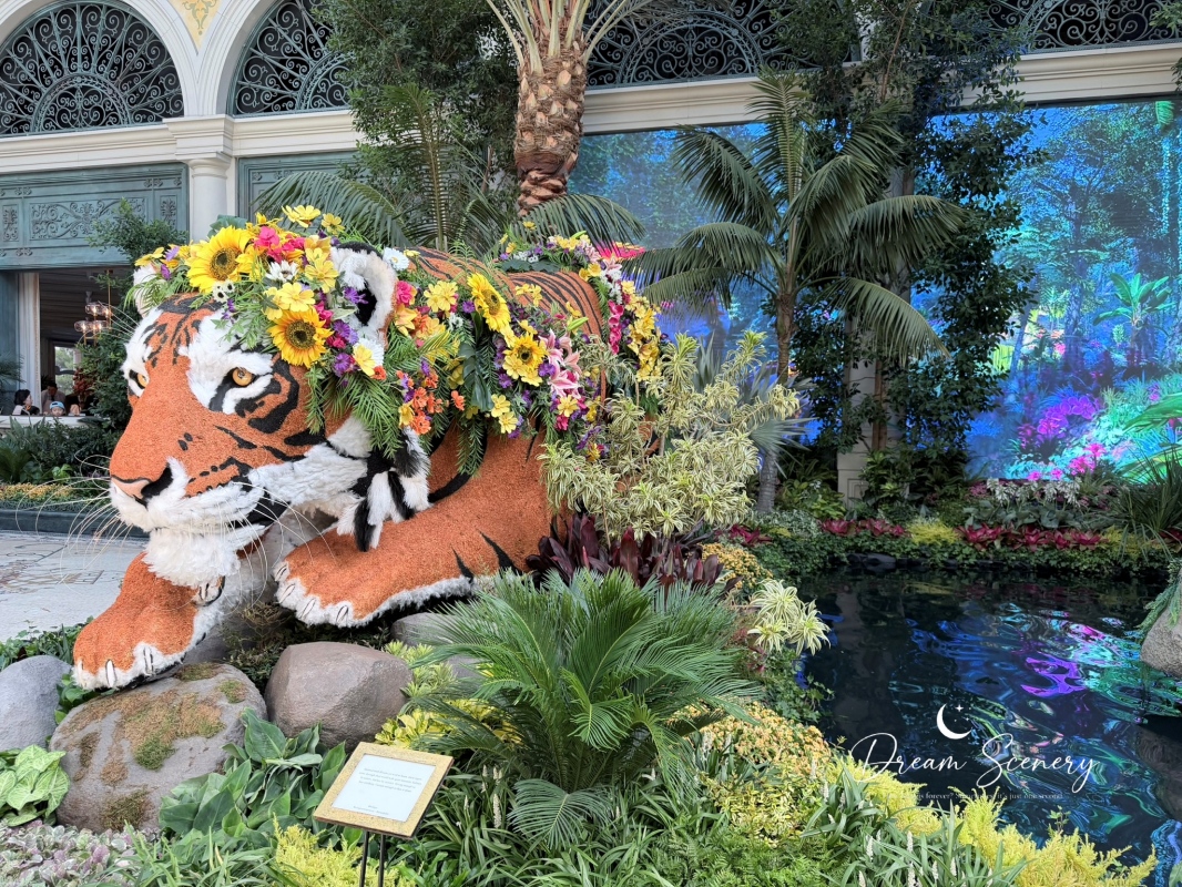 【美國-Las Vegas】Bellagio 花園 Summer 2026「Paradise」:走進沙漠中的熱帶天堂 - 第16張圖 【美國-Las Vegas】Bellagio 花園 Summer 2026「Paradise」:走進沙漠中的熱帶天堂