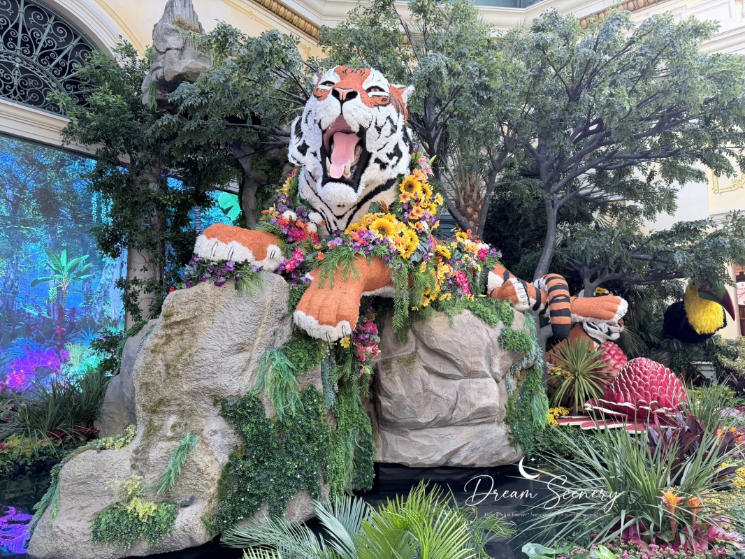 【美國-Las Vegas】Bellagio 花園 Summer 2026「Paradise」:走進沙漠中的熱帶天堂 - 第15張圖 【美國-Las Vegas】Bellagio 花園 Summer 2026「Paradise」:走進沙漠中的熱帶天堂