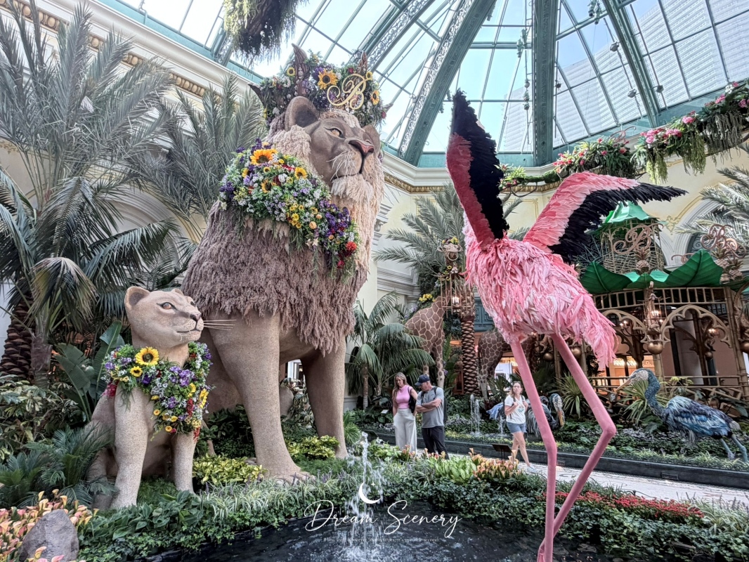 【美國-Las Vegas】Bellagio 花園 Summer 2026「Paradise」:走進沙漠中的熱帶天堂 - 第8張圖 【美國-Las Vegas】Bellagio 花園 Summer 2026「Paradise」:走進沙漠中的熱帶天堂