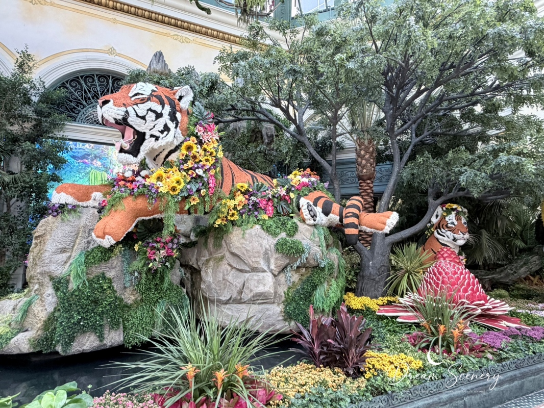 【美國-Las Vegas】Bellagio 花園 Summer 2026「Paradise」:走進沙漠中的熱帶天堂 - 第14張圖 【美國-Las Vegas】Bellagio 花園 Summer 2026「Paradise」:走進沙漠中的熱帶天堂