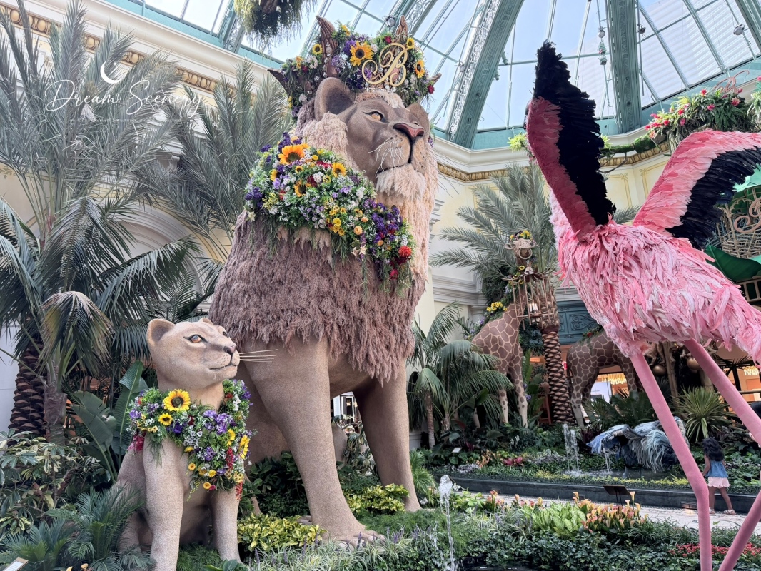 【美國-Las Vegas】Bellagio 花園 Summer 2026「Paradise」:走進沙漠中的熱帶天堂 - 第7張圖 【美國-Las Vegas】Bellagio 花園 Summer 2026「Paradise」:走進沙漠中的熱帶天堂