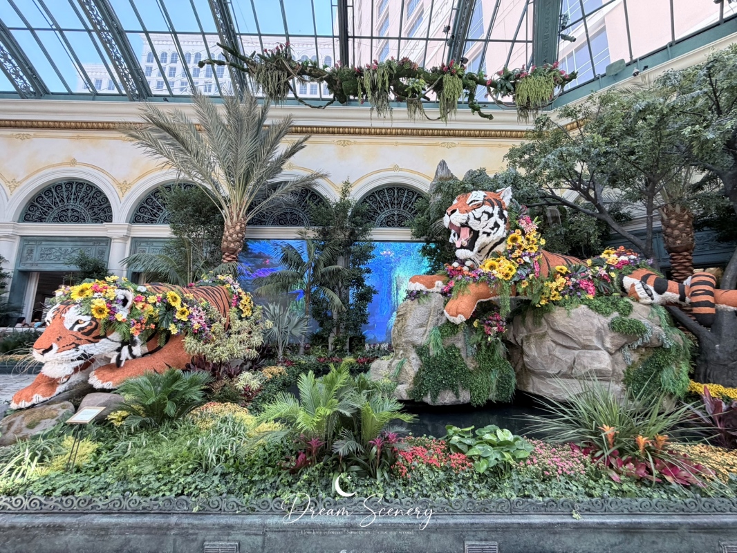 【美國-Las Vegas】Bellagio 花園 Summer 2026「Paradise」:走進沙漠中的熱帶天堂 - 第13張圖 【美國-Las Vegas】Bellagio 花園 Summer 2026「Paradise」:走進沙漠中的熱帶天堂
